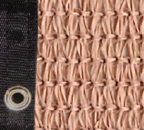 Poly Mesh