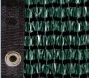 Poly Mesh