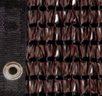 Poly Mesh