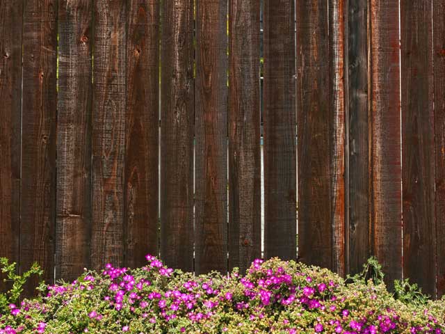 Pink Wood